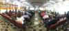 Encontro cmaras 2019